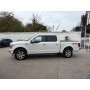 FORD F150 PLATINIUM